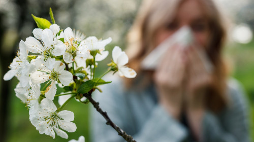 Какви храни да избягвате, ако сте алергични към полени?