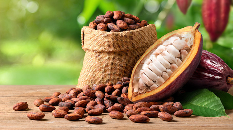 Вещество в какаото спасява от затлъстяване и алцхаймер