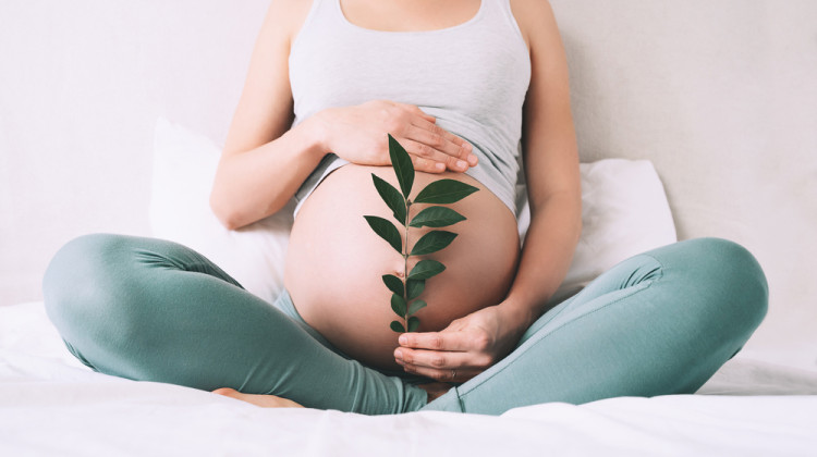 Д-р Добринка Петрова: И начинът на живот възпрепятства забременяването