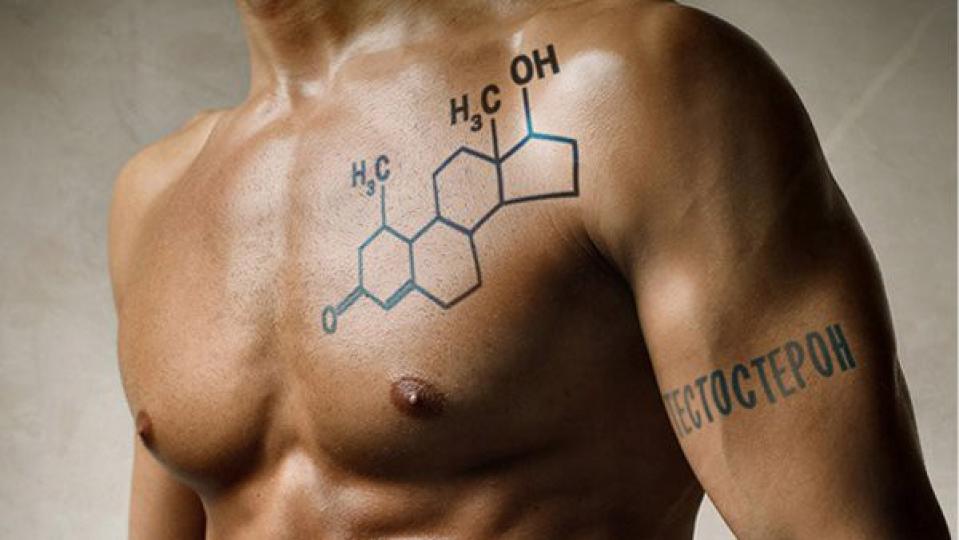 Мъжките хормони: Как тестостеронът влияе на мъжете?