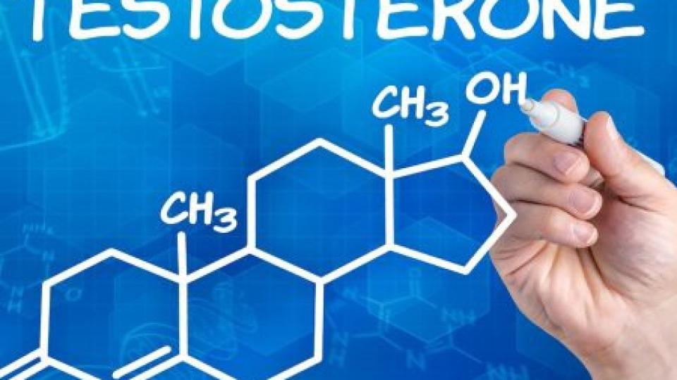 Бракът снижава нивото на тестостерон при мъжете