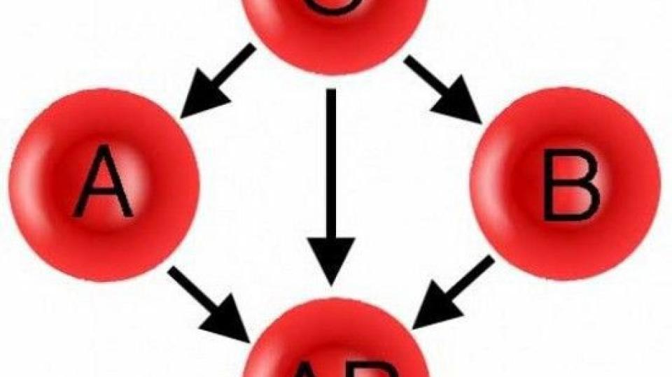 Учени от САЩ посочиха коя кръвна група е най-опасна за здравето