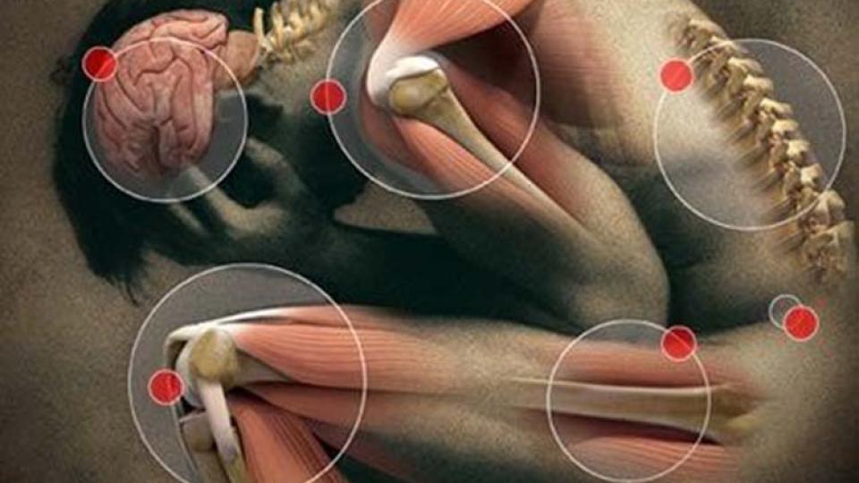 Тялото ви моли за помощ! Ето какви са признаците на проблем и как да го разрешите