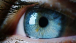 Откриха как с един поглед в очите може да се определи дали ви грози ранна смърт