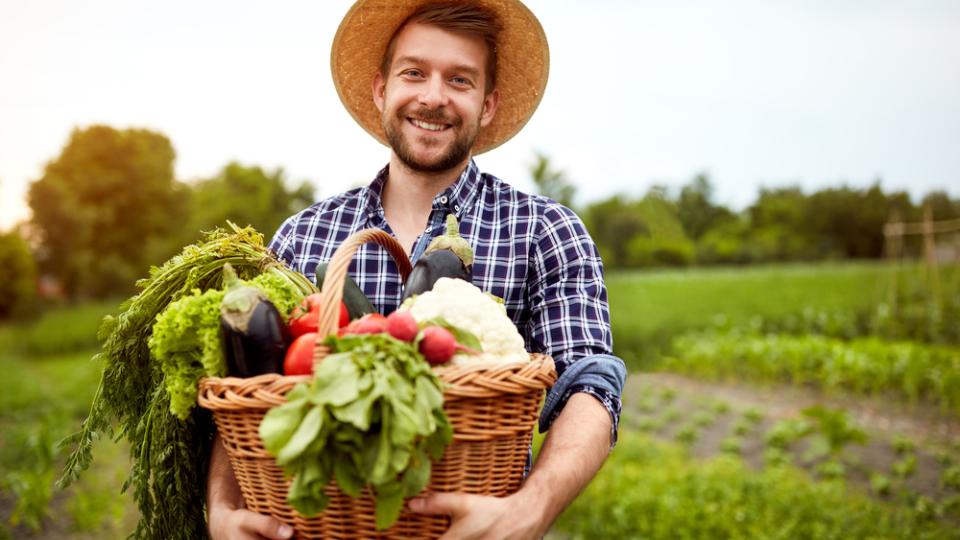 Лечебните свойства на натуралните продукти