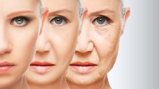 Японски учени откриха каква е причината някои хора да живеят до дълбока старост, а други не
