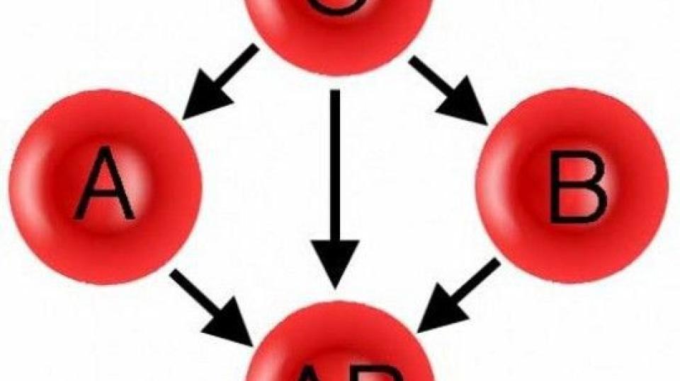Учени установиха коя кръвна група е неуязвима за рака