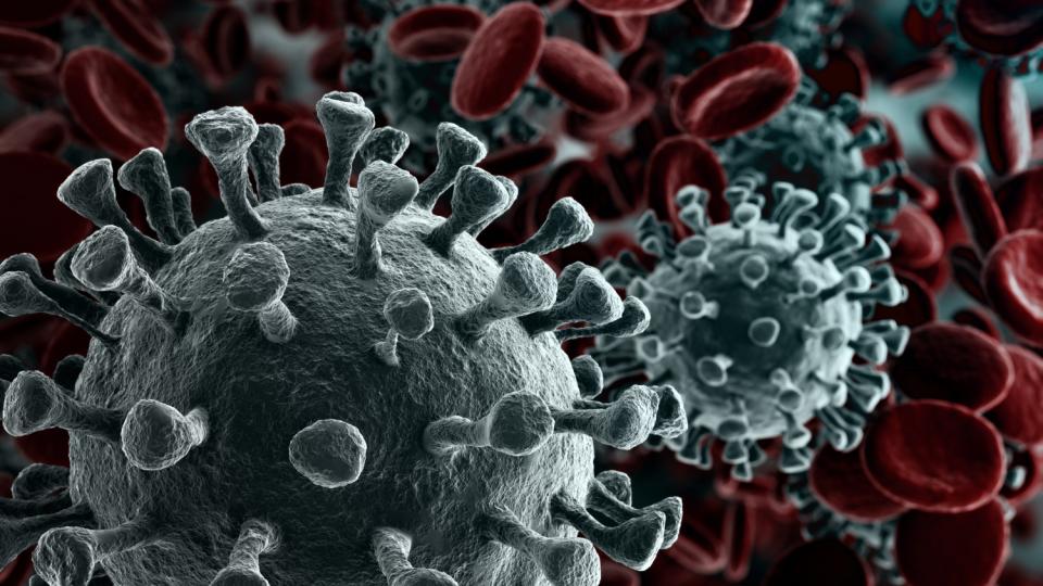 Учени откриха най-лесния „вход” за коронавируса