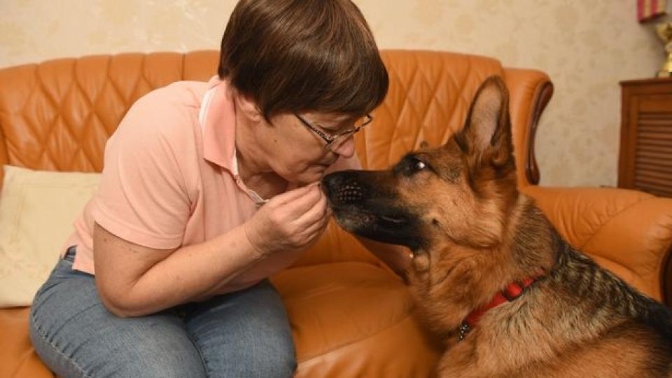 Кучета започнаха да се държат странно със стопанката си и ѝ спасиха живота СНИМКИ