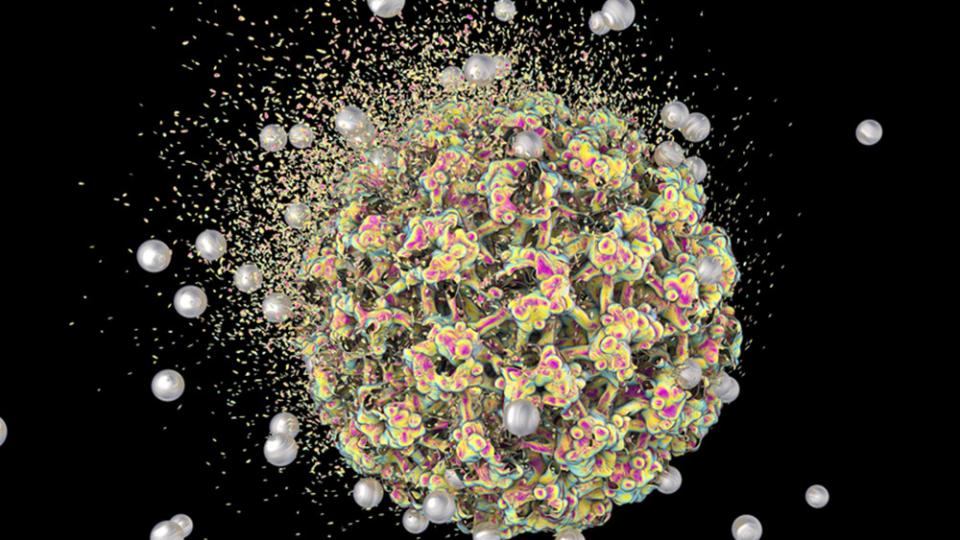 Доц. Коев: Сребърните наночастици - шанс в лечението на коронавирус