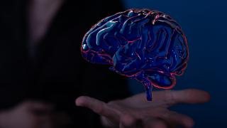Учени погледнаха в мозъка на умиращ човек, ето какво има там