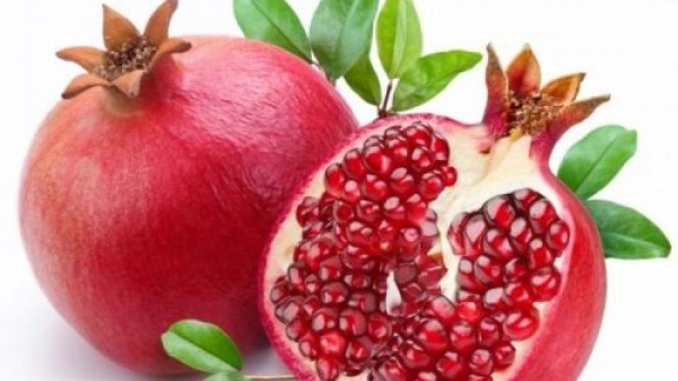 Нарът предпазва от рак