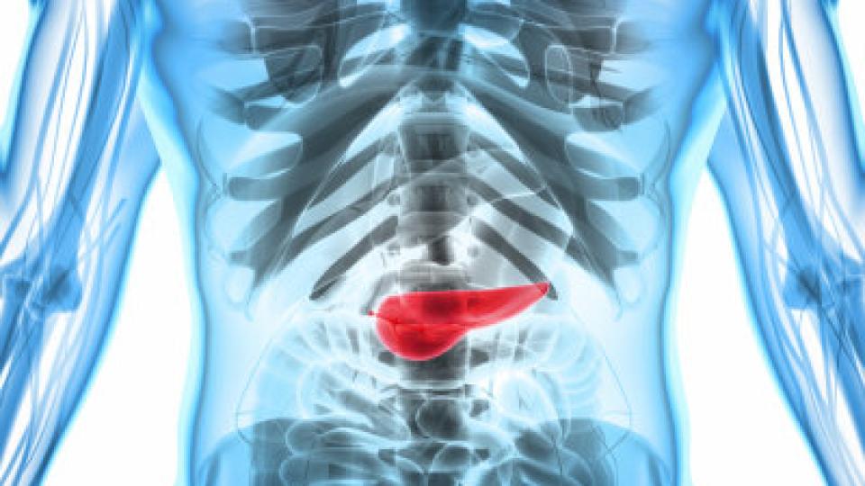 Пазете панкреаса, защото от там дебнат тежки последици