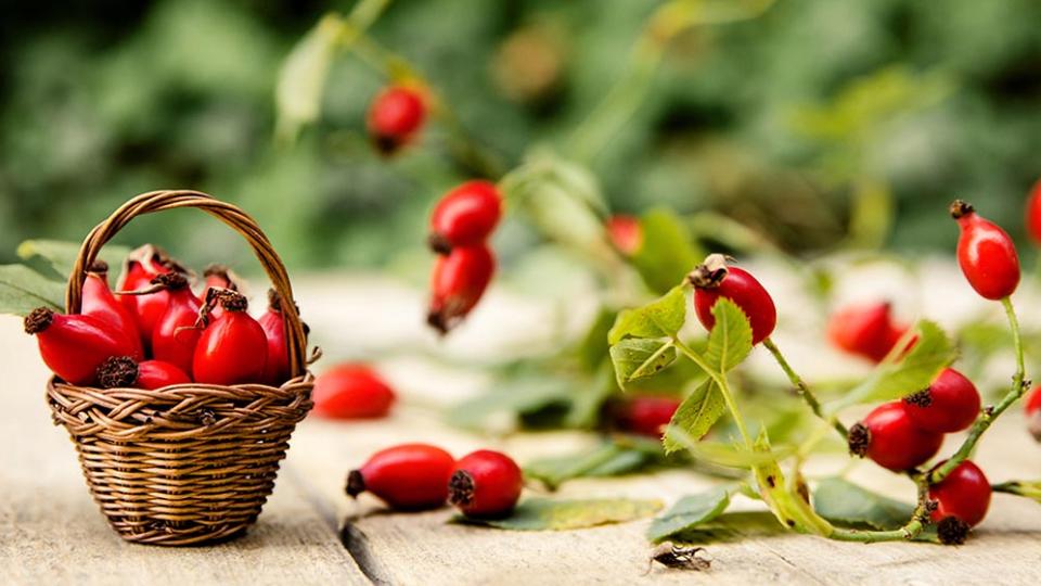 Препоръки при чернодробни нарушения и болести 