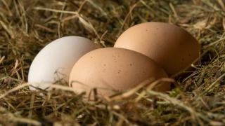 3 яйца на седмица намаляват риска от болести на сърцето с 60%