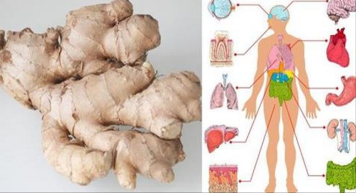 Яжте джинджифил всеки ден в продължение на 1 месец и това ще се случи с тялото ви!
