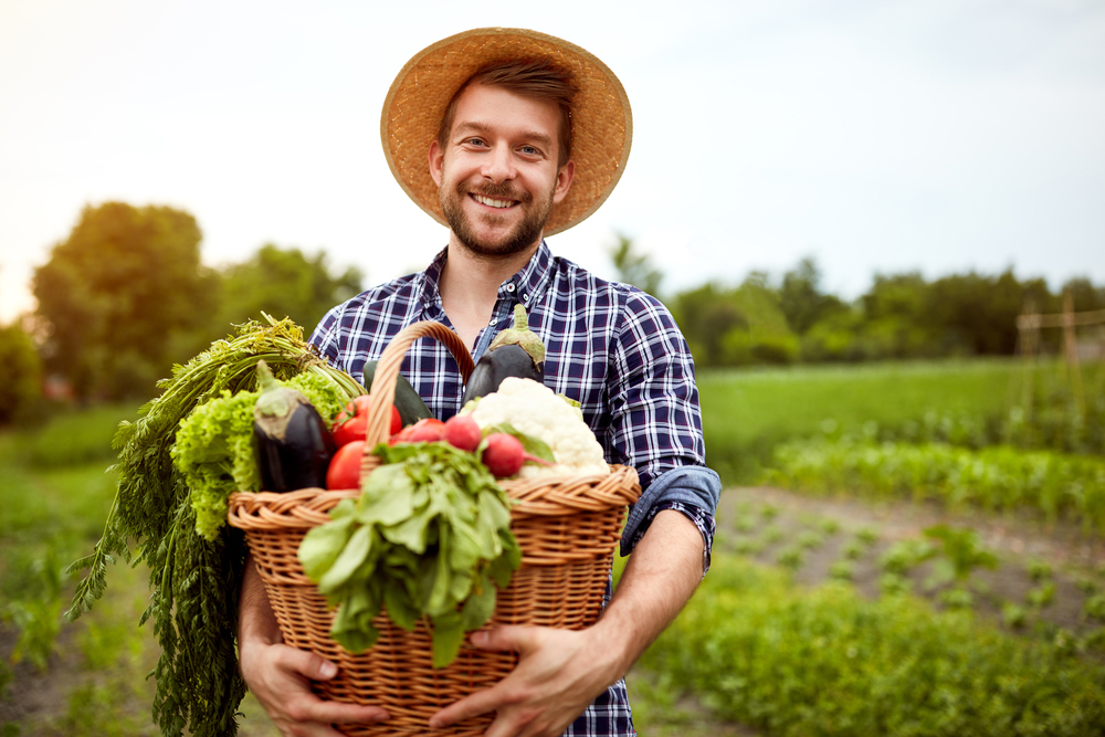 Лечебните свойства на натуралните продукти