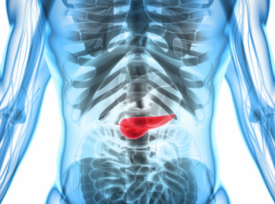 Пазете панкреаса, защото от там дебнат тежки последици